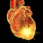 Dayton Cardiology and Vascular Consultants - photo 9