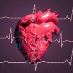 Dayton Cardiology and Vascular Consultants - photo 10