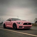 Atlantic Wraps - photo 1