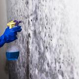 City Of Angels Mold Inspections - Plumbing in Los Angeles