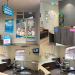 Emergency Dentist Singleton - Emergency Dentist Singleton - MS Dental  - photo 1