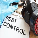 Pest Control Experts of Laurel Grove in Orange Park