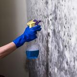 America's City Mold Inspections - Home Services in New York