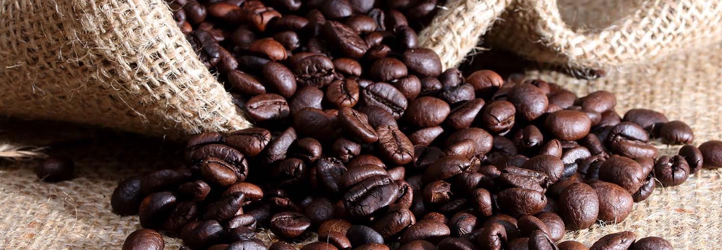 Seven Seeds Roastery cover photo