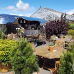 V Street Food Trucks Australia - photo 4