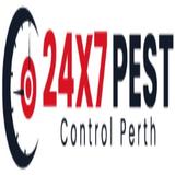 Dead Possum Removal Perth