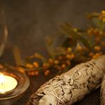 The Sane Psychic - photo 4