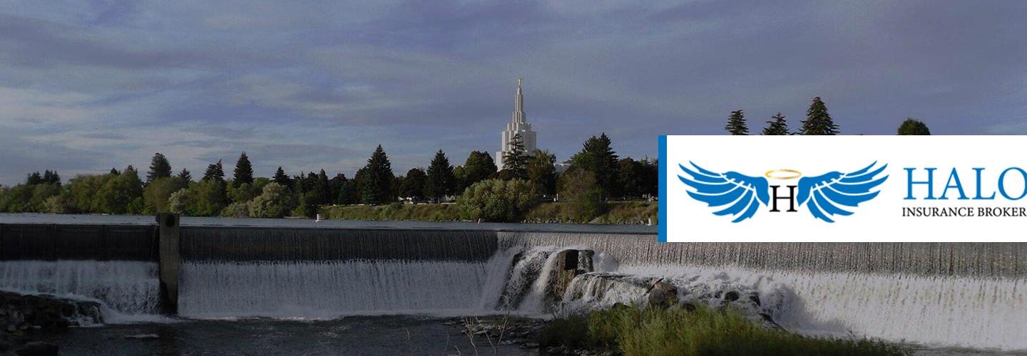 Halo Insurance Brokers cover photo