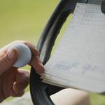 Emajin Golf - photo 5