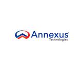 Annexus Tech - IT Services & Computer Repair in Kingston
