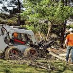 Grass Valley Tree Service Pros - photo 1