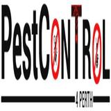 Pest Inspections Perth