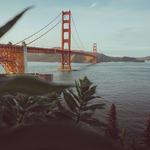 Clearly Kombucha - photo 1