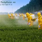 PushpRatan Greens Limited - photo 1