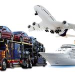 Ultimate Transport 123 - photo 1