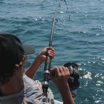 Acromarine - photo 5