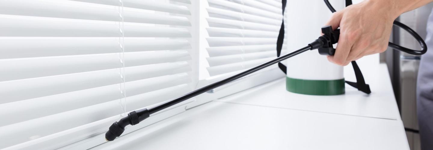 Queen City of the Cumberlands Pest Control cover photo