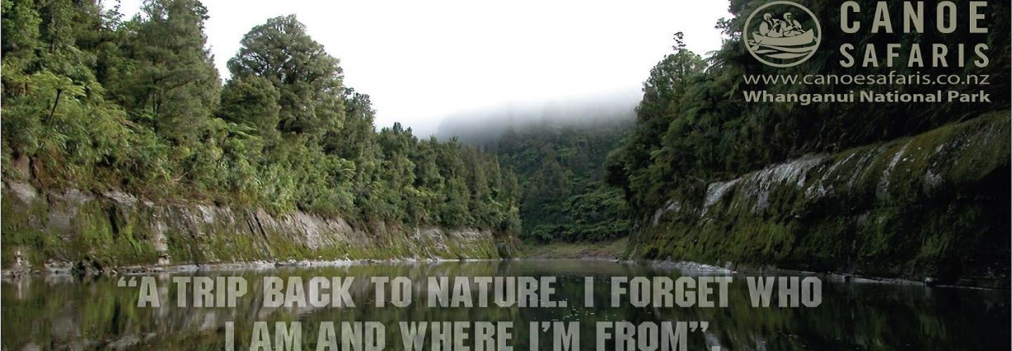 GP Tourism Ltd (T/A Canoe Safaris) cover photo