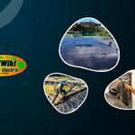 WikiWiki Solar & Electric - photo 4