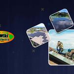 WikiWiki Solar & Electric - photo 7