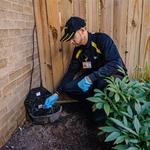 Termite Treatment Companies in Swedesboro - photo 4