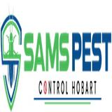 Borer Control Hobart - Pest Control in Hobart