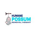 Humane Possum Removal Hobart - Pest Control in Hobart