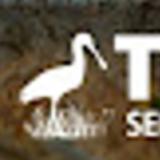 Trull Service Company - Property Management in Palacios