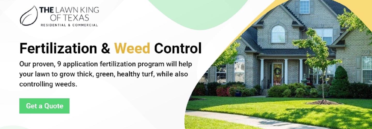 The Lawn King of Texas cover photo