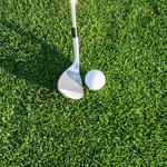 Lee Trevino Trevon Branch Golf Academy. - photo 2