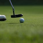 Lee Trevino Trevon Branch Golf Academy. - photo 6
