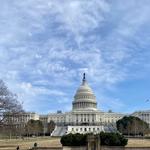 See DC Tours - photo 1