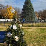 See DC Tours - photo 4