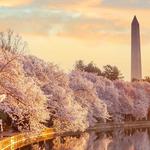 See DC Tours - photo 6