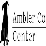 Ambler Counseling Center | Therapist, Teen Therapy, Groups, & Family Counseling - Counseling & Mental Health in Lower Gwynedd Township