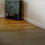 Sydney Paws Petdoor - photo 1