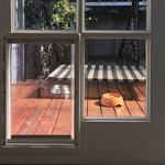 Sydney Paws Petdoor - photo 4