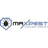 Termite Pest Control Hobart - Pest Control in Hobart