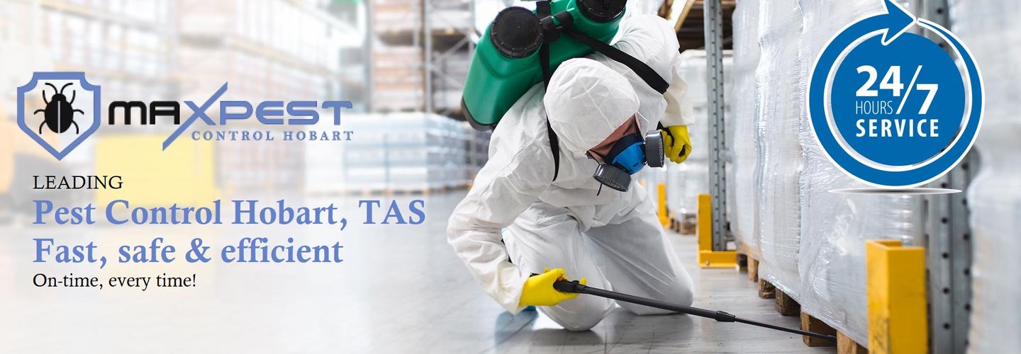 Termite Pest Control Hobart cover photo