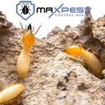 Termite Pest Control Hobart - photo 2