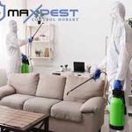 Termite Pest Control Hobart - photo 4