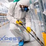 Termite Pest Control Hobart - photo 5