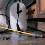 Termite Pest Control Hobart - photo 6