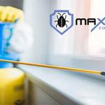 Termite Pest Control Hobart - photo 7