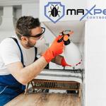 Termite Pest Control Hobart - photo 8