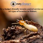 Termite Pest Control Hobart - photo 9
