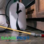 Moth Removal Hobart - photo 3