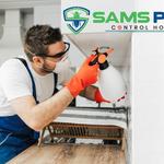 Moth Removal Hobart - photo 5