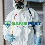 Moth Removal Hobart - photo 7