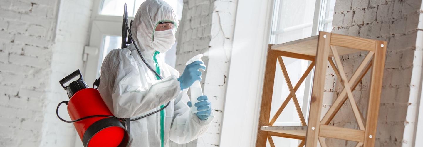 Lake Norman Mold Inspections cover photo